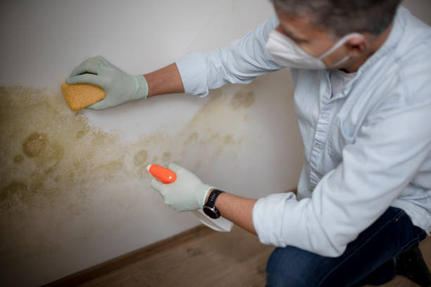 Asbestos and Lead Testing During Mold Inspection